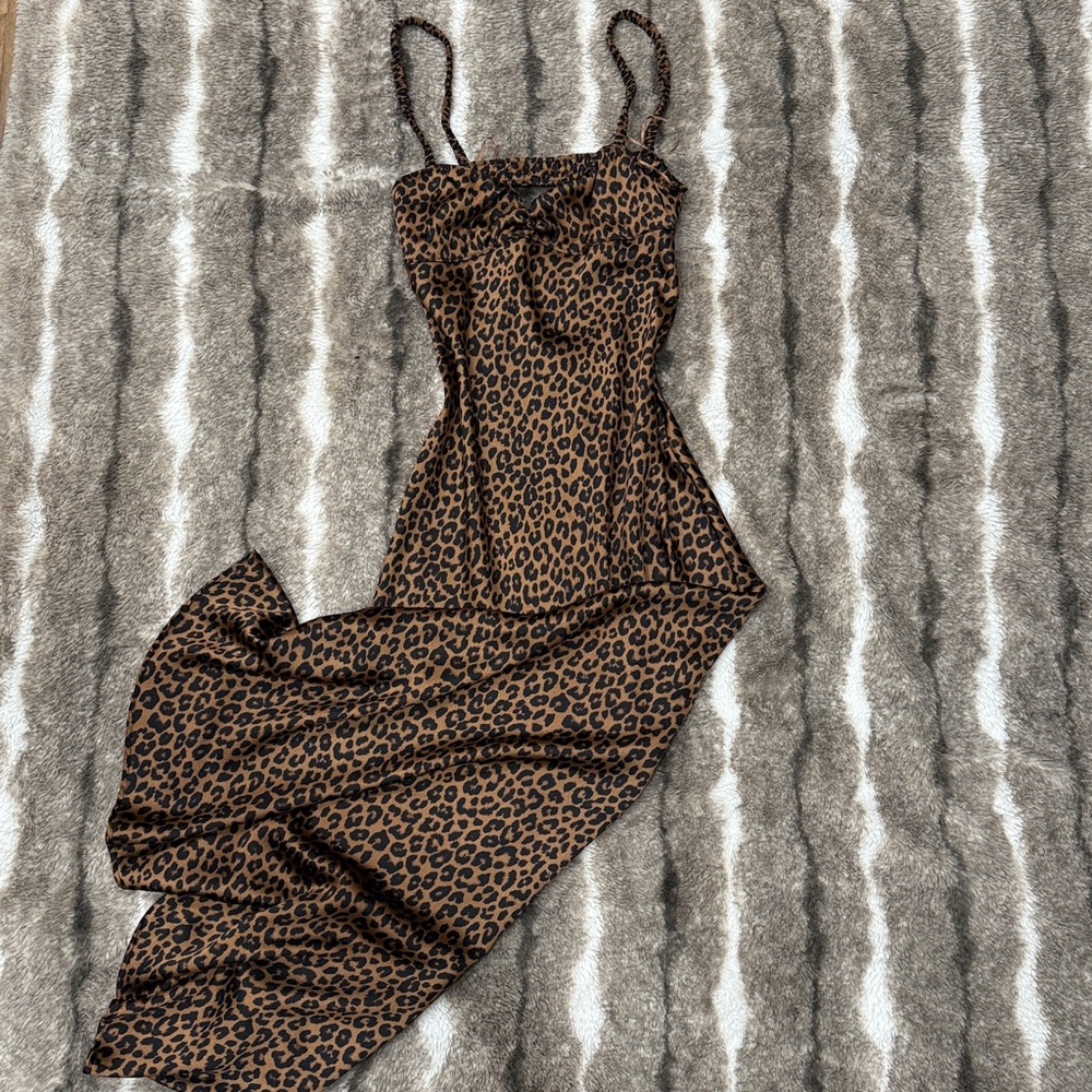 Zara Leopard Print Maxi Dress - NWT